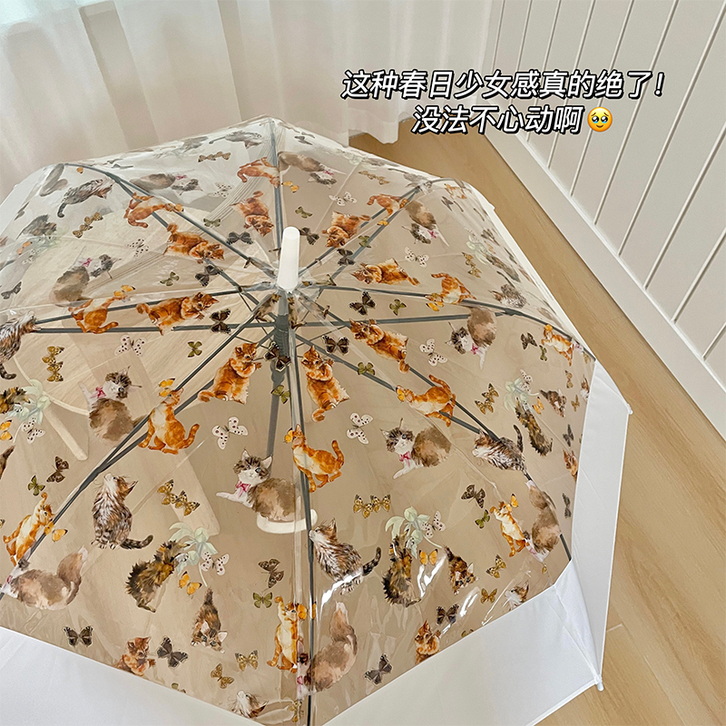 复古油画猫咪蝴蝶透明雨伞长柄伞