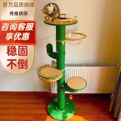 小红书推荐仙人掌自制diy猫爬架