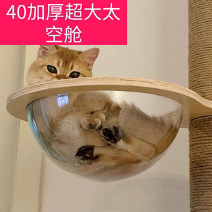 猫爬架自制diy材料亚克力罩超透明太空舱圆球防尘罩半球猫窝配件