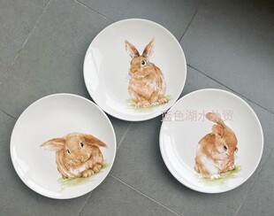 美式 CYGJ 151经典 外贸出口美国原单陶瓷平盘餐盘 可爱又有质感