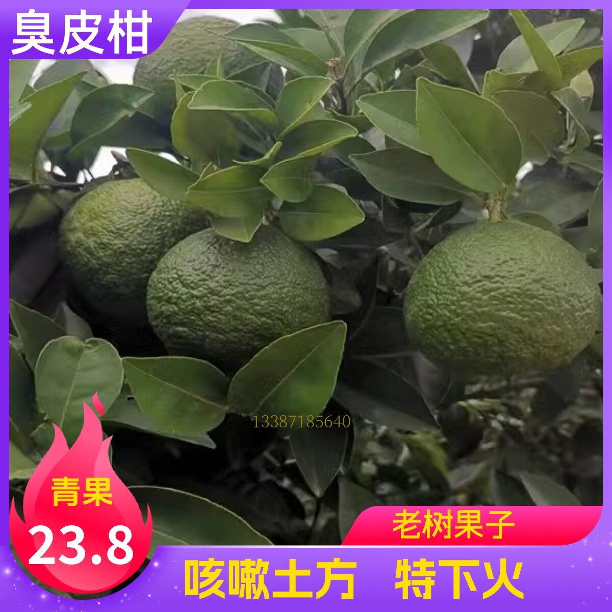 湖北湖南酸抛柑臭皮柑抛柑新鲜孕妇青果苦药酸泡柑酸柑子