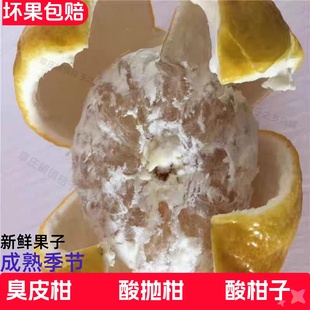 湖北湖南酸抛柑臭皮柑抛柑孕妇黄皮水果苦酸泡柑酸柑子