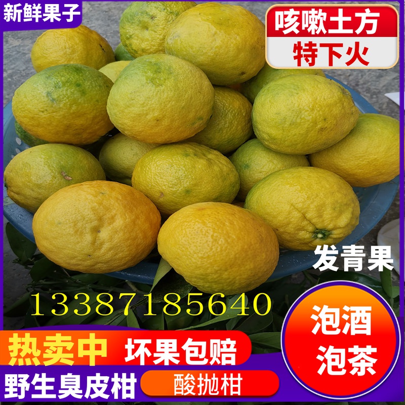 湖北湖南野生酸抛柑臭皮柑抛柑新鲜孕妇黄皮水果苦药酸泡柑酸柑子