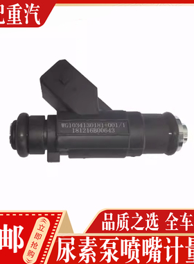 适配重汽豪沃380汕德卡T7H尿素泵喷嘴喷射计量阀WG1034130181