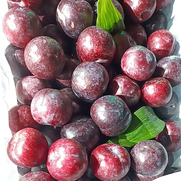 正宗陕西千味红  红梅李子新鲜水果现发皮薄肉厚多汁爽口酸甜可口