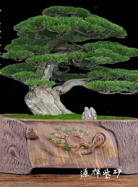 树桩紫砂花盆大号老桩盆景盆栽植物室内榕树花盆陶瓷盆景盆专用