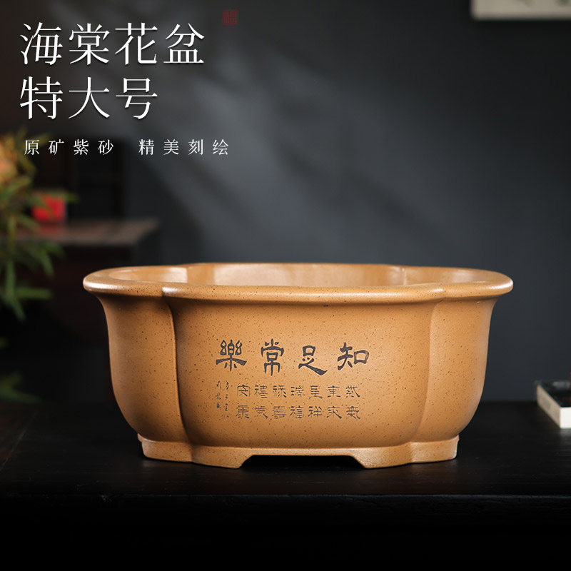 特大紫砂花盆海棠椭圆形柴烧花盆花盆