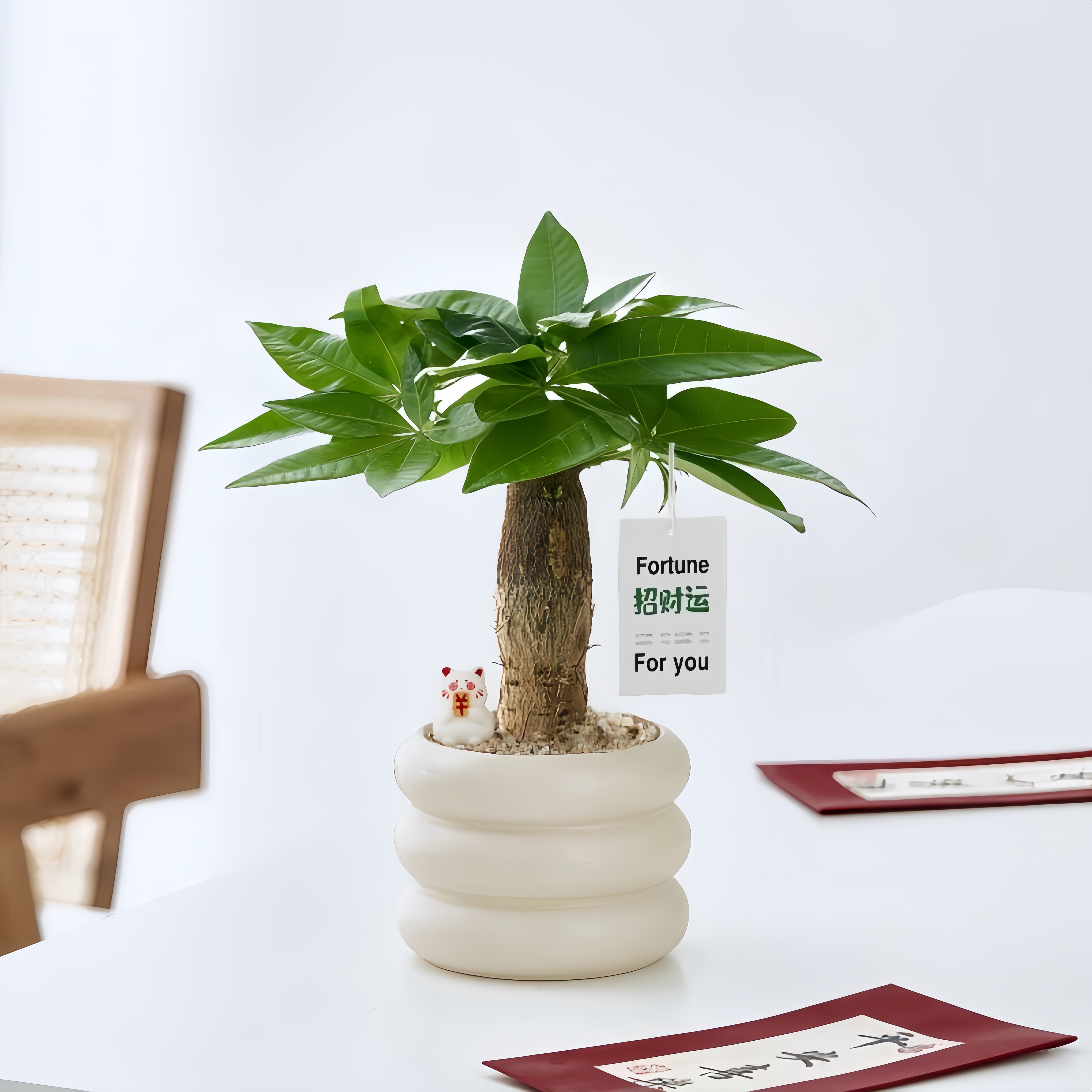 发财树小盆栽室内招财桌面植物