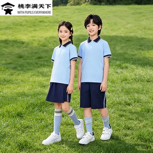 江西南昌市新款小学生校服夏季索罗娜短袖短裤长裤运动装POLO衫