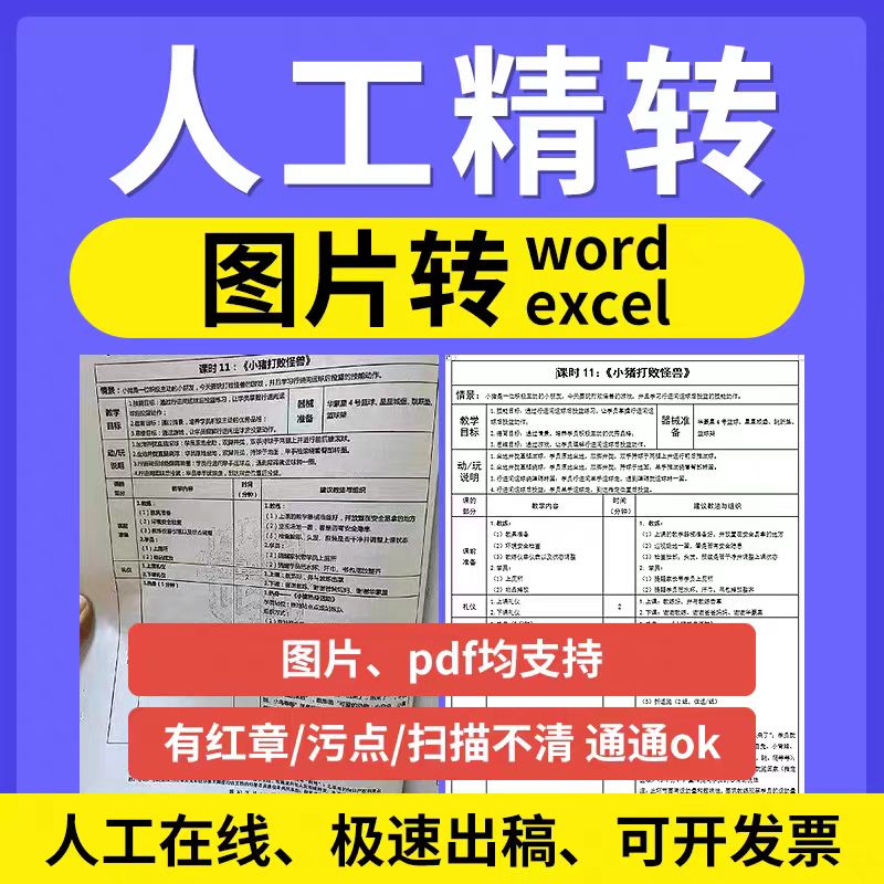 图片转换成excel/word/pdf扫描文件txt/ppt可编辑文档人工修改wps