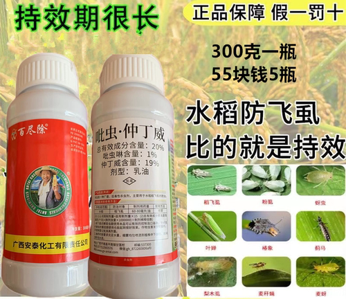 广西安泰20%仲丁威水稻稻飞虱褐飞虱柑桔木虱虫粉虱叶蝉蓟杀虫剂