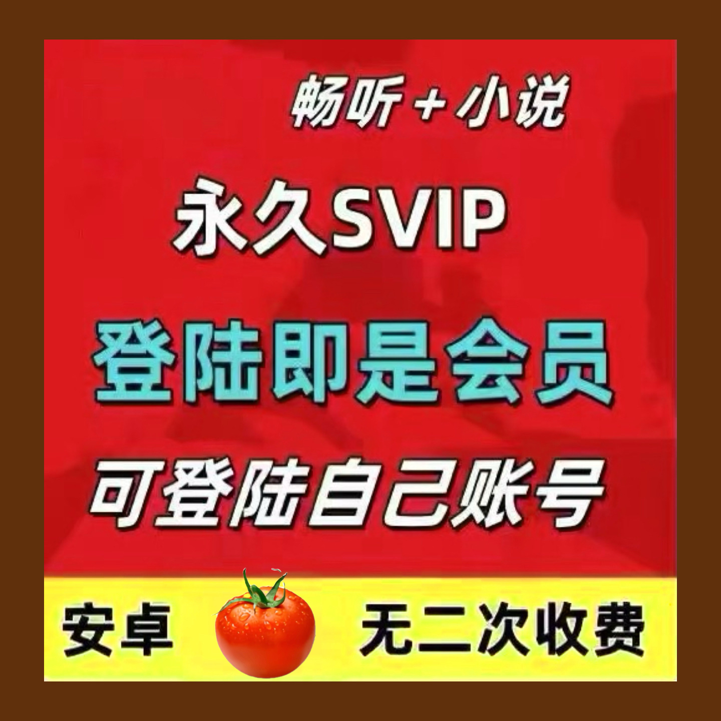 全网小说畅听听书会员VIP免费听书软件阅读神器app免广告永久售后