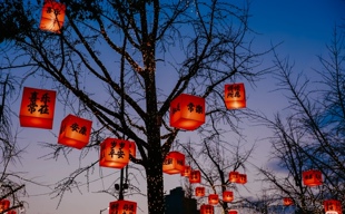 成都户外防水防晒新春灯笼串室外古风院子氛围布置树上彩色方灯笼