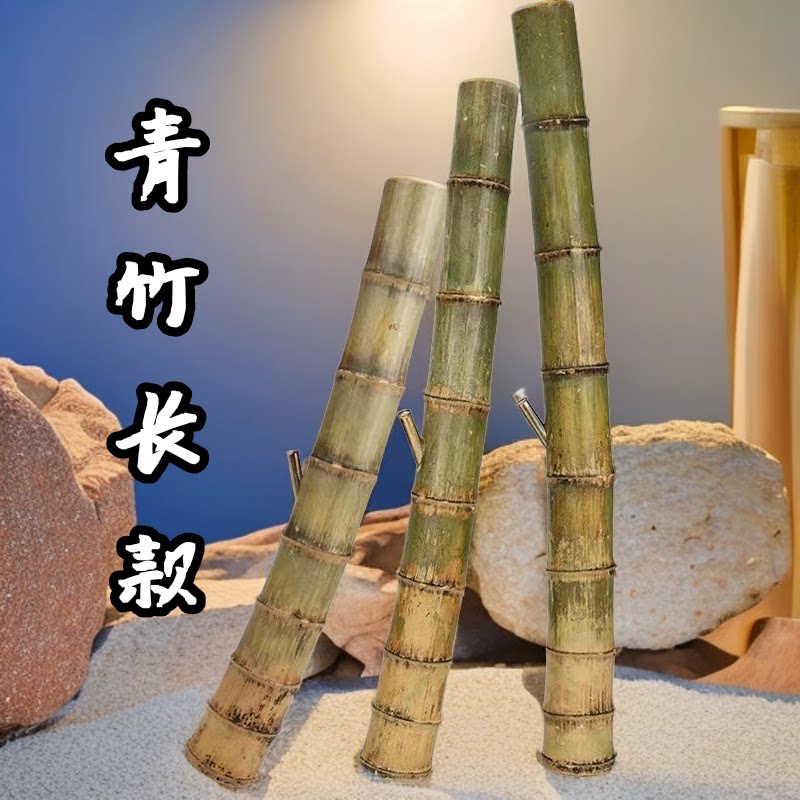 原竹青竹不上油水烟筒烟具竹子竹头烟斗水烟壶烟袋湛江茂名特产