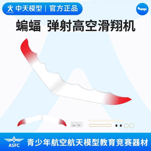 中天模型 蝙蝠弹射高空滑翔机飞机玩具手抛泡沫飞机玩具