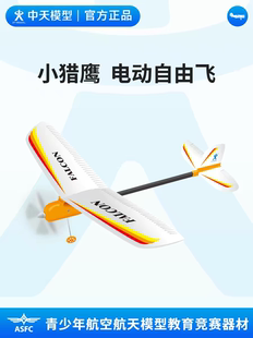 中天模型 小猎鹰电动自由飞 手抛飞机儿童泡沫飞机玩具
