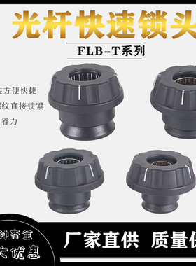 快速锁头 FLB-T锁紧装置芯轴锁头夹头料轴卡位器顶锥包装机模切机