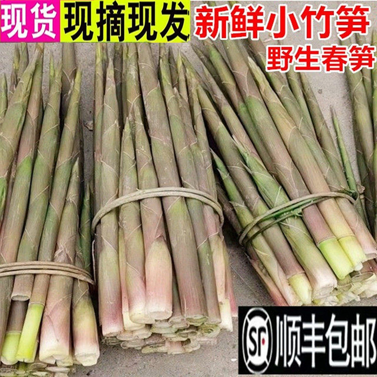 【顺丰包邮】新鲜野生山竹笋甜笋尖嫩春笋水竹笋雷笋手剥笋连带壳