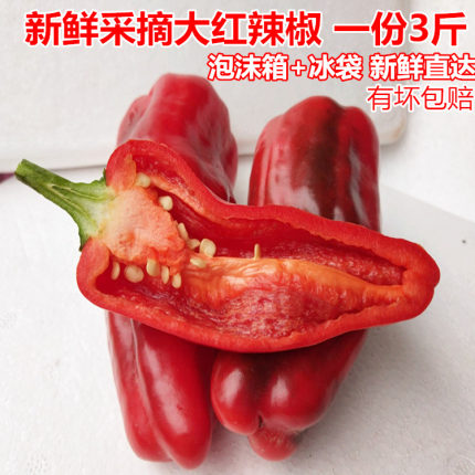 摘3斤新鲜大红辣椒薄皮微辣土辣椒红尖椒泡椒米椒做剁辣椒菜包邮
