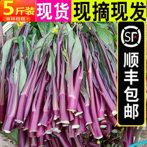 洪山防水涂料