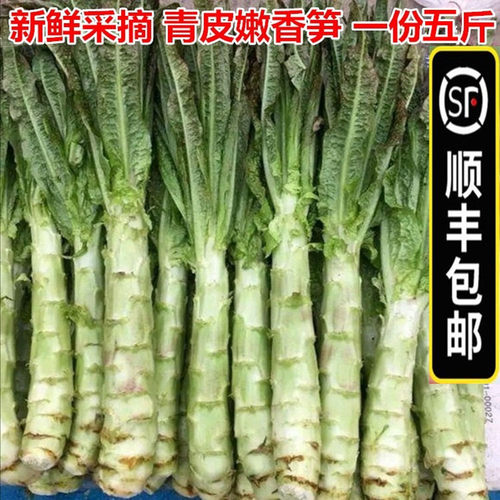 顺丰邮新鲜莴笋青皮莴苣脆嫩香笋