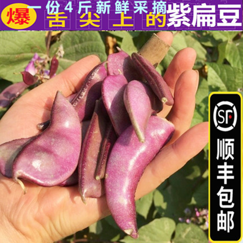 顺丰邮农家紫扁豆角新鲜红峨眉豆