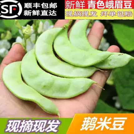 【顺丰包邮】新鲜峨眉豆青绿色蛾眉豆猪耳朵豆角扁豆芸豆农家蔬菜