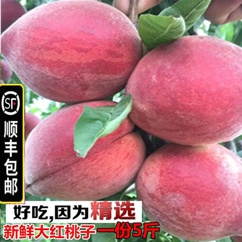 顺丰包邮现货脆甜桃子新鲜水果