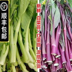 【顺丰包邮】5斤新鲜红菜苔农家洪山菜薹菜心混搭嫩白菜苔青菜心