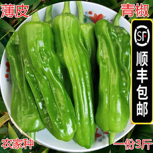 【顺丰包邮】10斤农家新鲜青椒薄皮青辣椒微辣芜湖椒虎皮辣椒泡椒