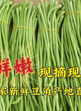 【顺丰包邮】5斤新鲜缸豆鲜嫩长豆角农家蔬菜绿色豆角可做酸豆角