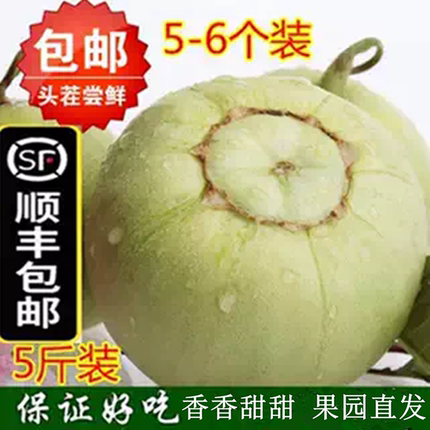 【顺丰包邮】现摘湖北甜瓜白皮小香瓜新鲜水果脆瓜梨瓜白糖罐蜜瓜