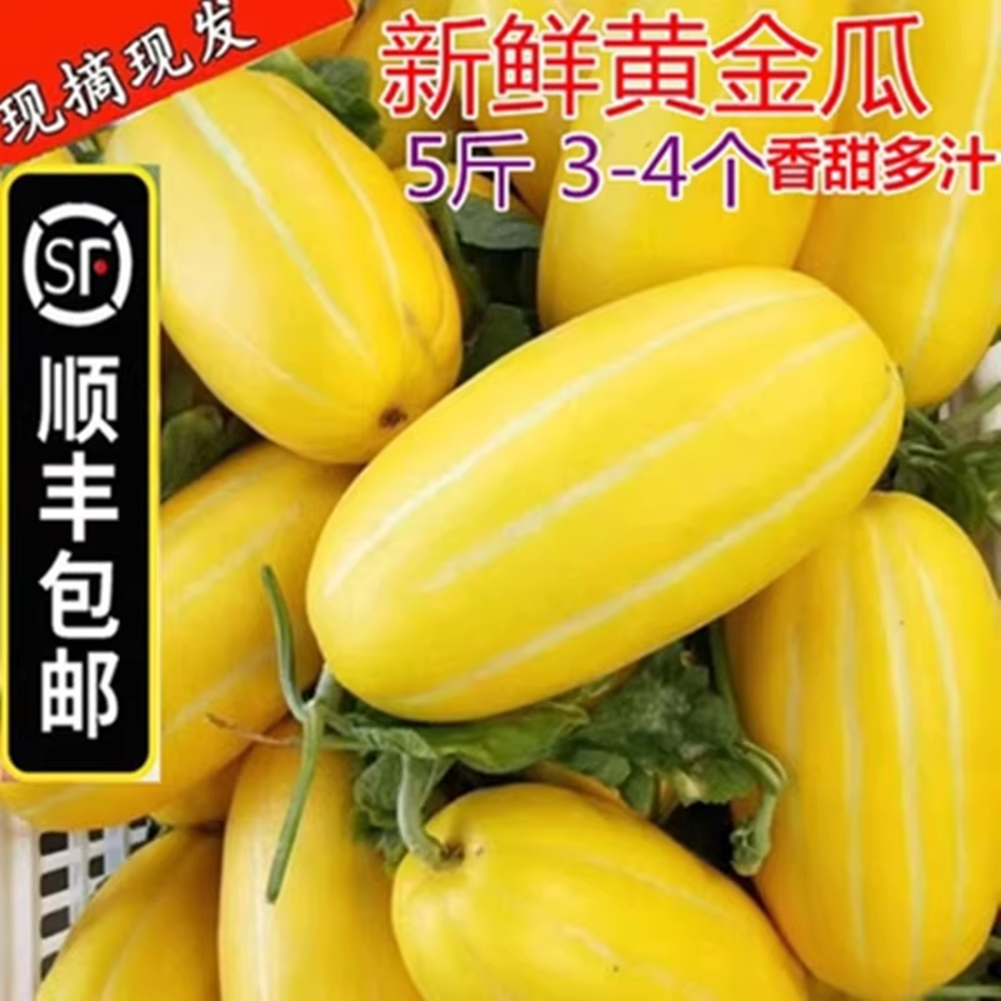 【顺丰包邮】5斤新鲜香瓜脆甜黄金玉瓜黄皮条纹蜜瓜白瓜应季水果
