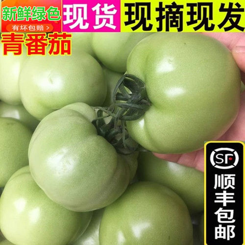 顺丰新鲜青西红柿青番茄绿色蔬菜