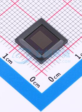 AR0331SRSC00SUCA0-DRBR LCC-48(10x10) 图像传感器 onsemi(安森