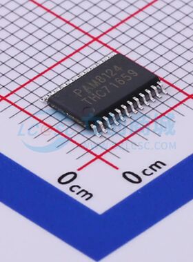 PAM8124RHR TSSOP-24-EP 音频功率放大器 DIODES(美台)原装正品