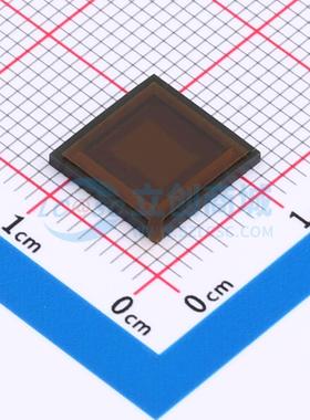 AR0134CSSC00SPCA0-DPBR LCC-48(10x10) 图像传感器 onsemi(安森