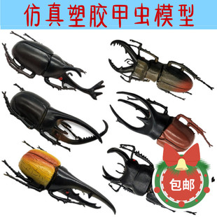 仿真昆虫模型大号甲虫标本玩具独角仙长乾大兜虫早教益智教具玩具