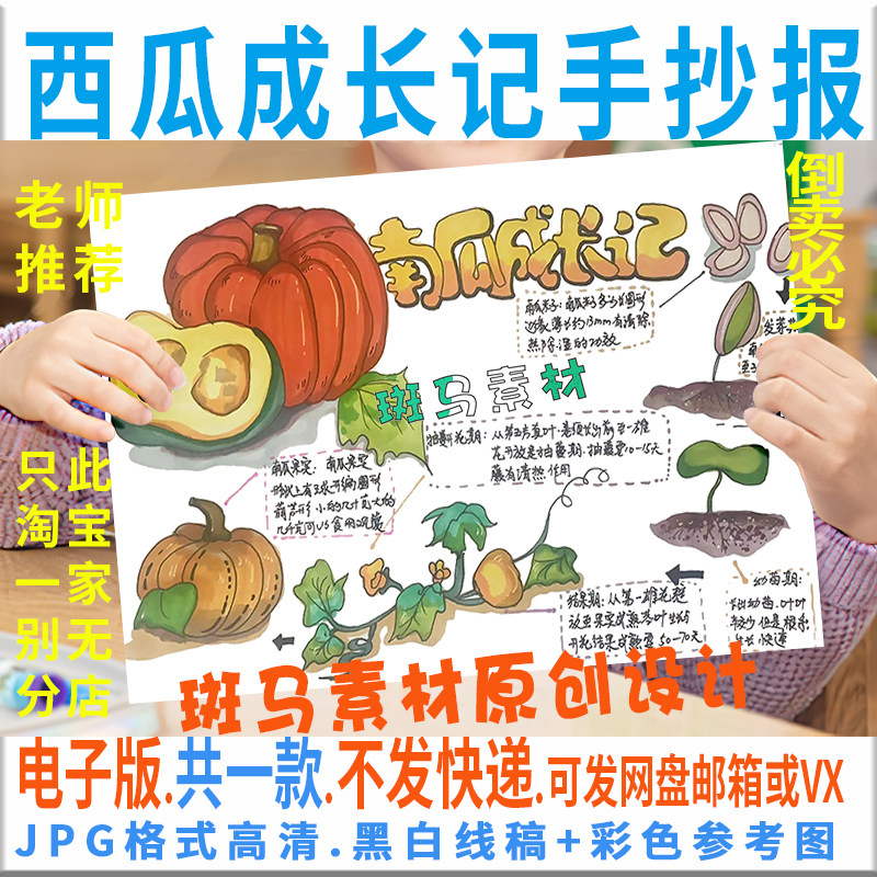 e072西瓜成长观察日记涂色黑白描线空白小学生水果自然笔记手抄报