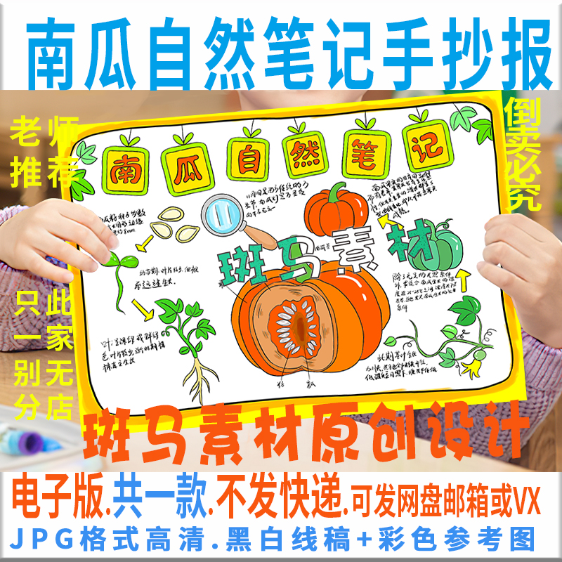 B741自然笔记南瓜观察日记黑白线描涂色空白小学生手抄报电子模板