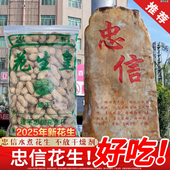 水煮花生 日晒咸脆红泥花生皇晒花生特产晒干带壳咸香软糯口感