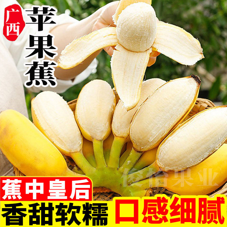 广西苹果蕉9斤5斤香蕉新鲜水果香蕉