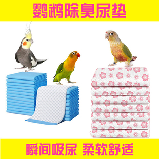 鹦鹉雏鸟垫料保温箱隔尿垫尿不湿屎兜半毛玄凤和尚小太阳幼鸟用品