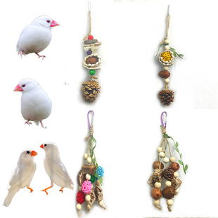 珍珠鸟专用玩具啃咬磨牙棒七彩文鸟十姐妹金丝雀小鸟笼子装饰用品
