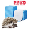 非洲迷你刺猬幼崽专用笼子厕所隔尿垫子饲养箱垫料小宠物生活用品