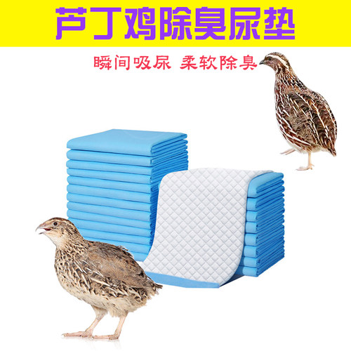 芦丁鸡鹌鹑专用尿不湿隔尿垫子