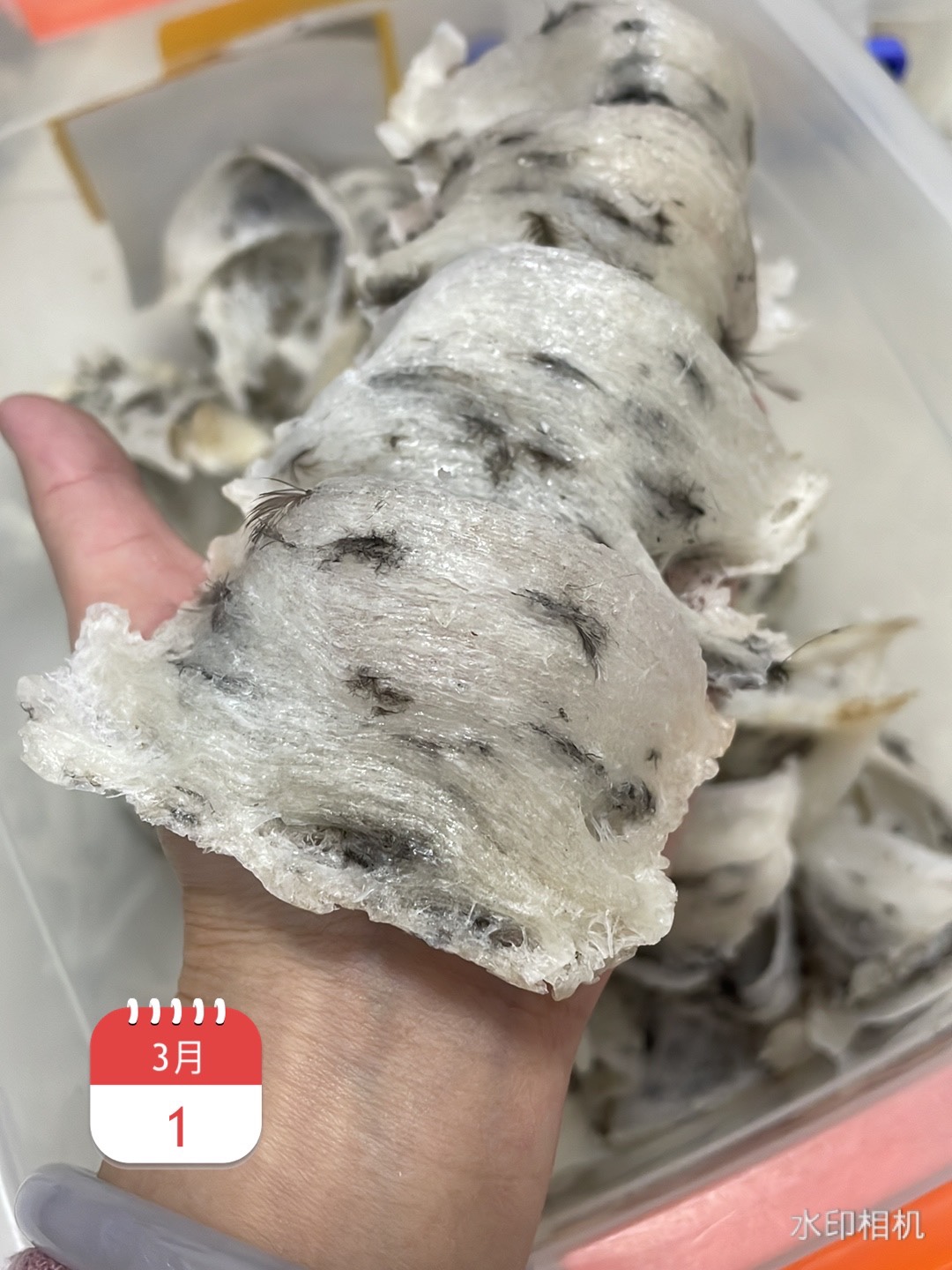 15年品牌老店凤之纯中轻毛盏燕盏 雨季毛燕窝 孕妇燕窝滋补正品