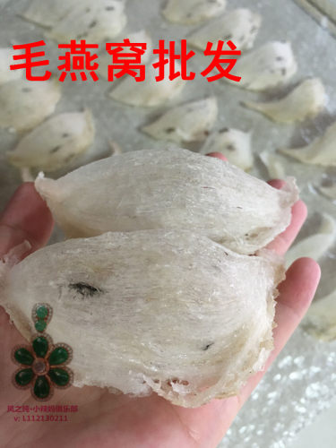 15年品牌老店凤之纯极轻毛超轻毛