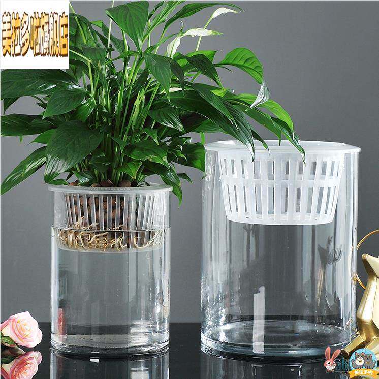水培植物玻璃瓶子透明直筒圆柱形花瓶简约黄金葛花盆白掌水培缸容