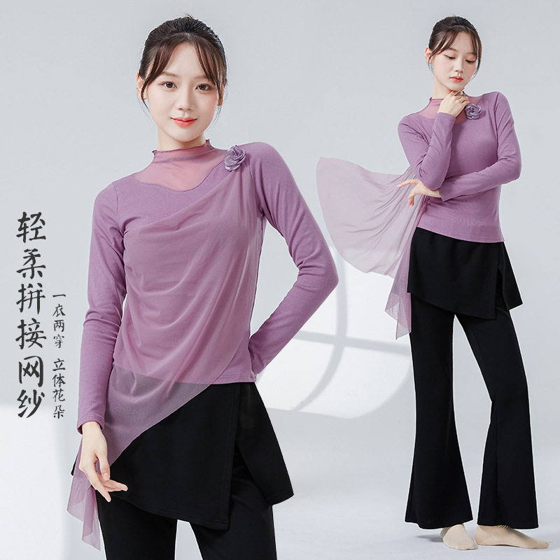 古典舞蹈练功服女秋冬新款长袖拼接加密加厚网纱衣国标形体服上衣